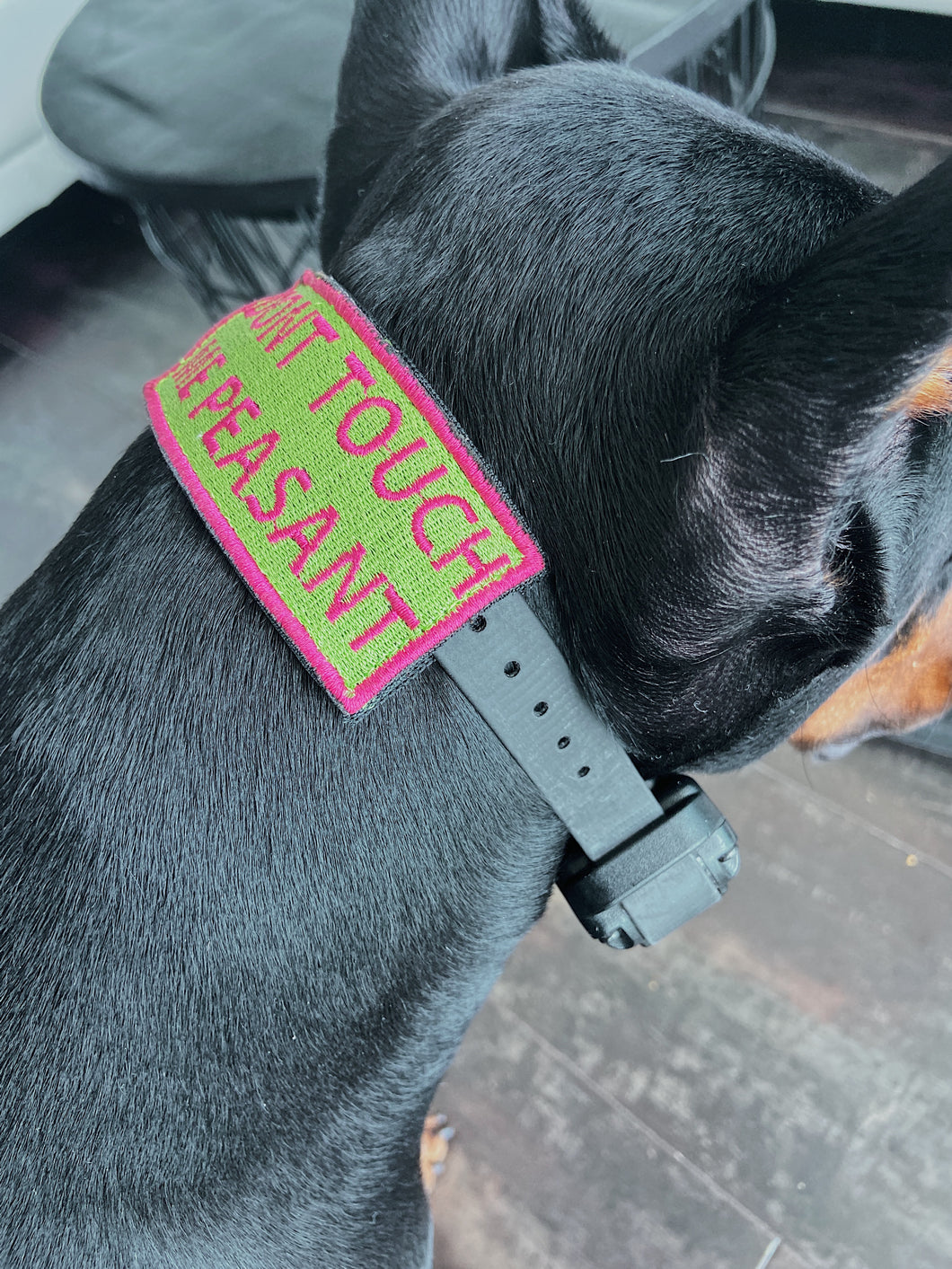 Custom NAME PATCHES - Velcro - for Collars & Harnesses – THE BULLY HOUSE